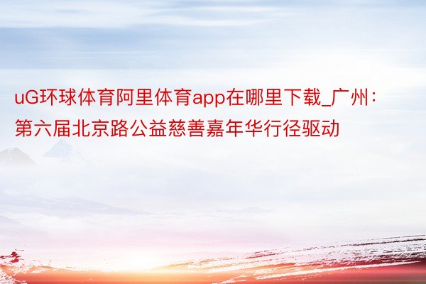 uG环球体育阿里体育app在哪里下载_广州：第六届北京路公益慈善嘉年华行径驱动